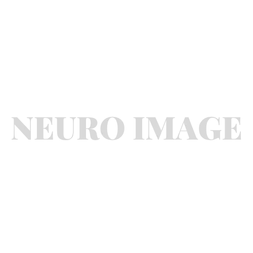 NeuroImage Footer Logo