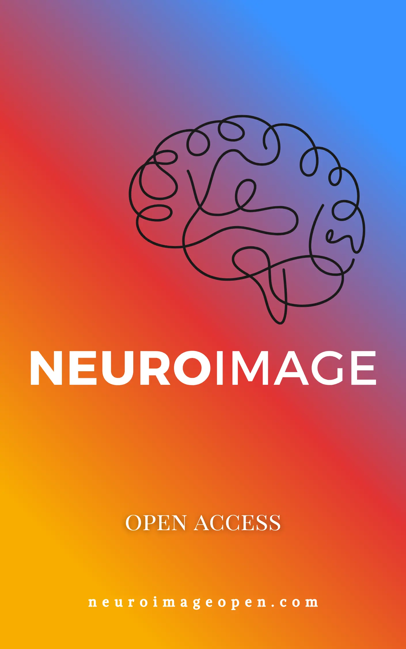 NeuroImage