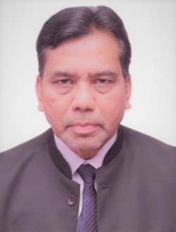 Himadri B BOHIDAR - NeuroImage